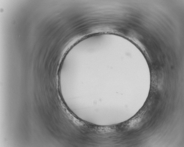 X0000060740807200511171056