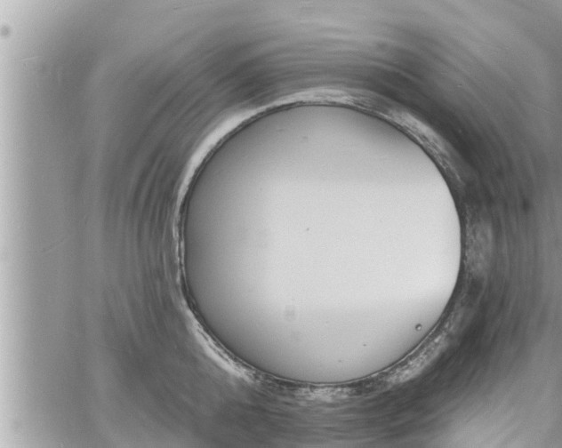 X0000060740808200511171055