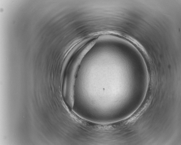 X0000060740809200511171055