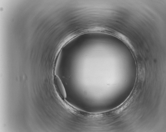 X0000060740810200511171055