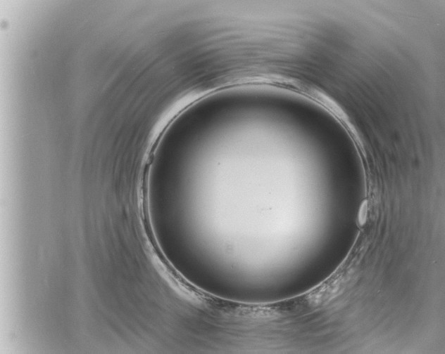 X0000060740811200511171055