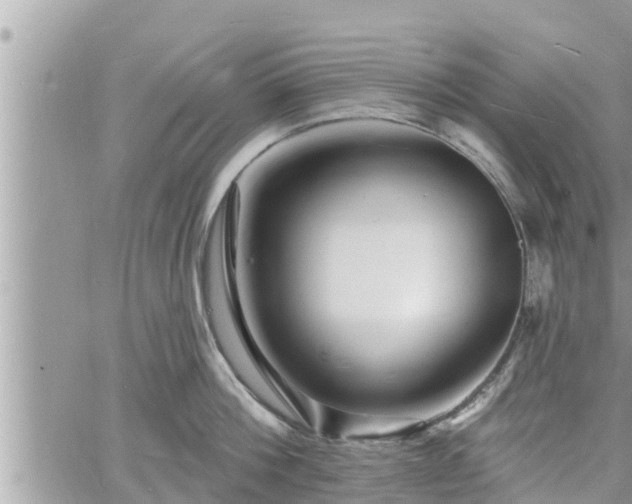 X0000060740812200511171055