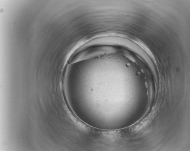 X0000060740813200511171055