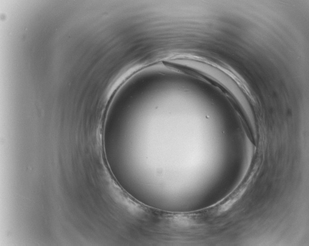 X0000060740814200511171055