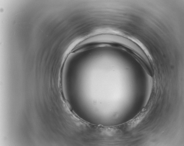 X0000060740815200511171055