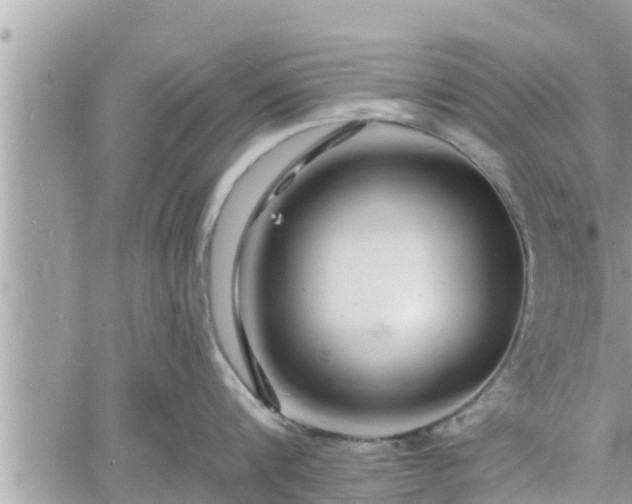 X0000060740816200511171055