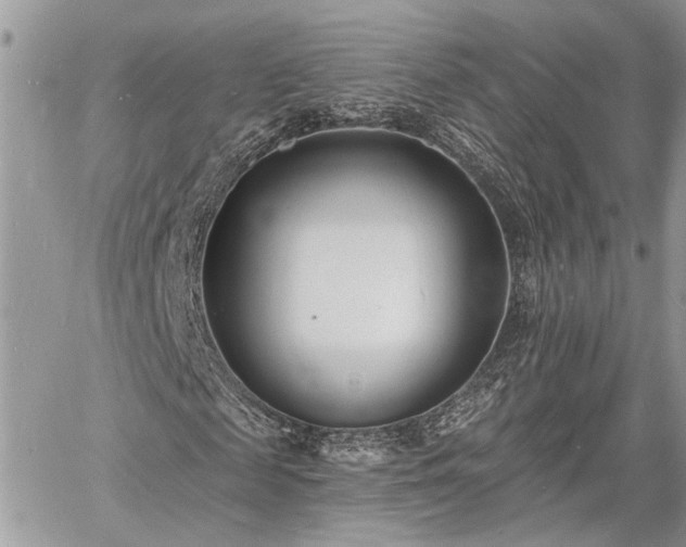 X0000060740817200511171055