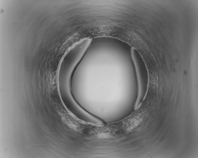 X0000060740818200511171055