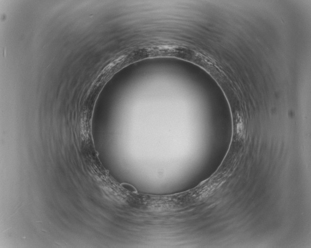 X0000060740819200511171055