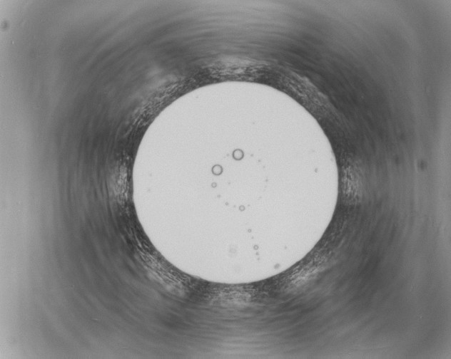 X0000060740820200511171055