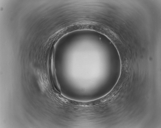 X0000060740821200511171055