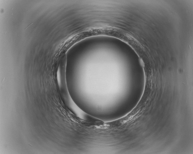 X0000060740822200511171055