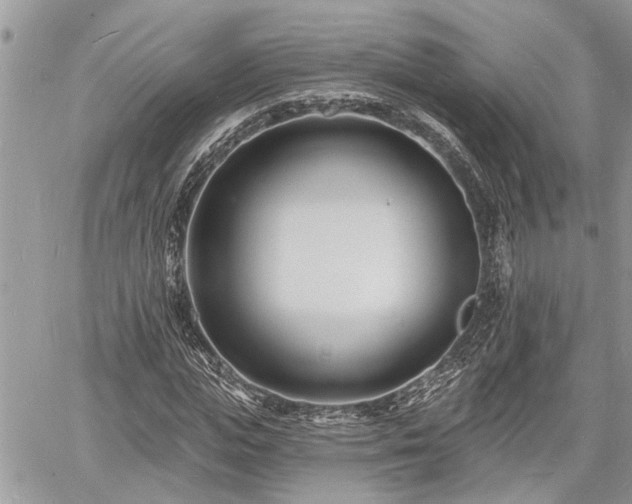 X0000060740823200511171055