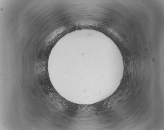 X0000060740824200511171055