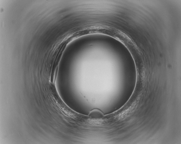 X0000060740825200511171055