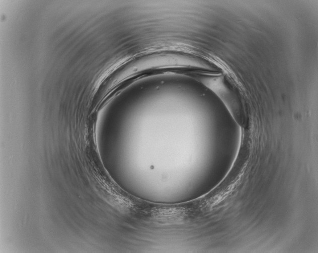 X0000060740826200511171055