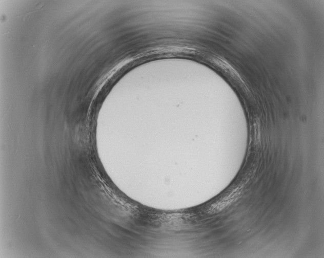 X0000060740828200511171055