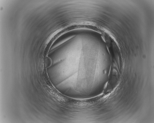 X0000060740829200511171055