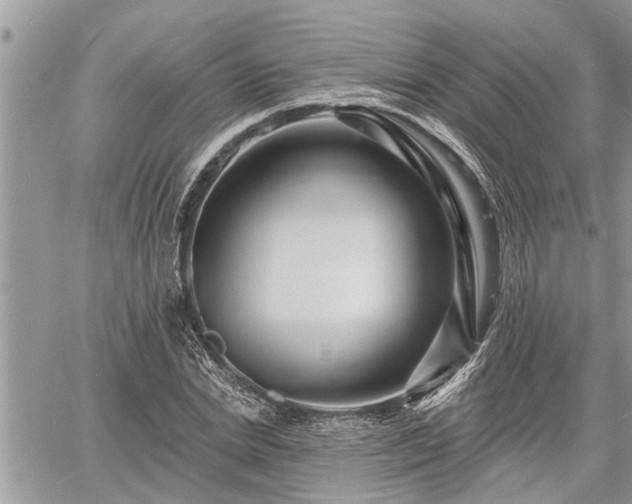 X0000060740830200511171055