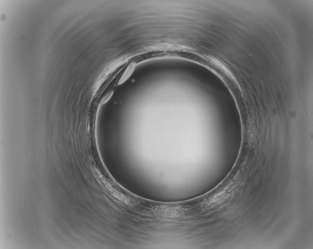 X0000060740831200511171055