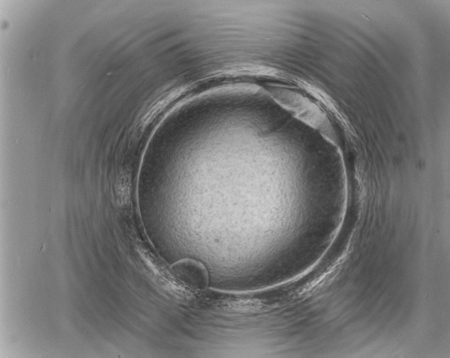 X0000060740833200511171055