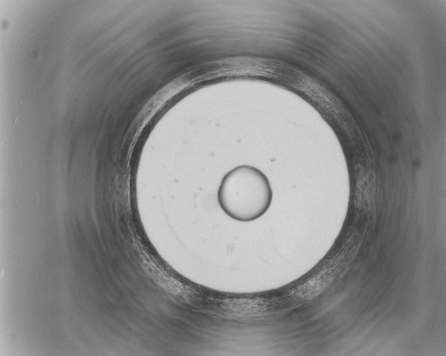 X0000060740836200511171055