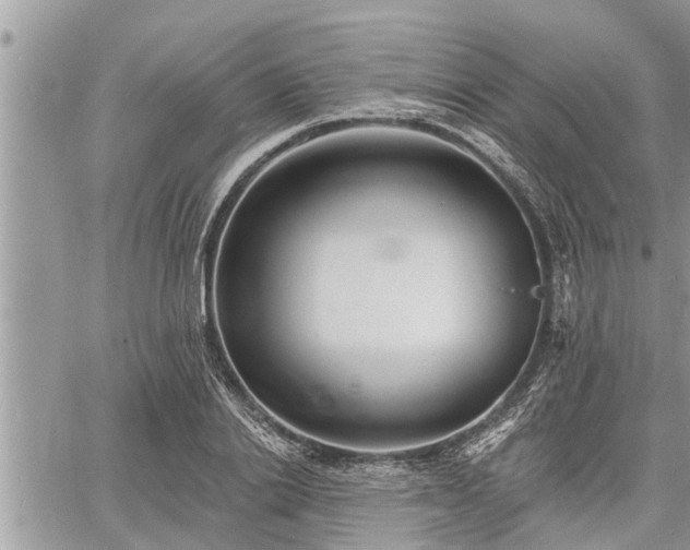 X0000060740838200511171055