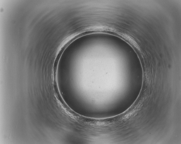 X0000060740839200511171055