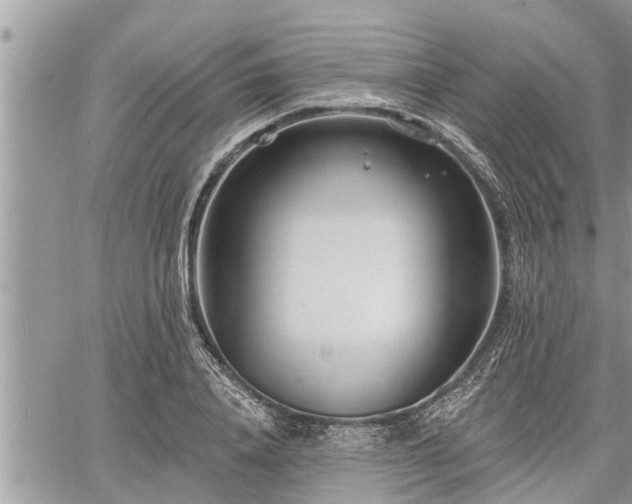 X0000060740840200511171055