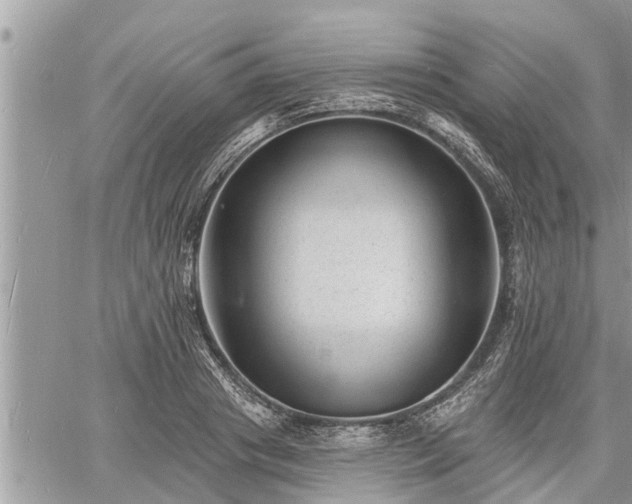 X0000060740841200511171055