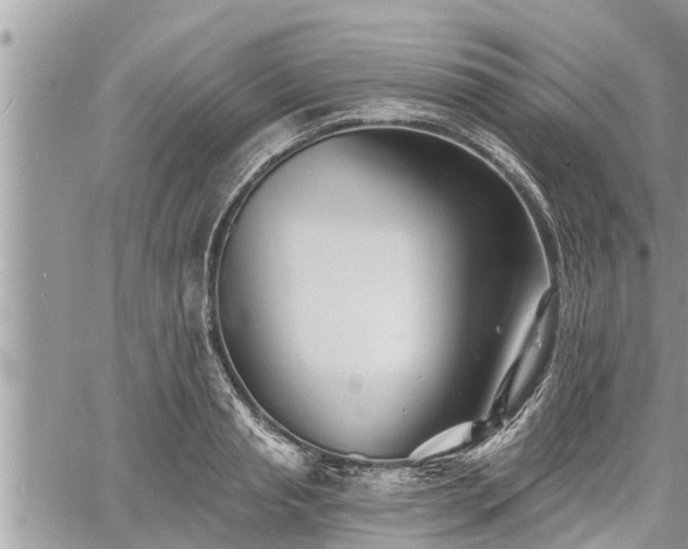 X0000060740845200511171055