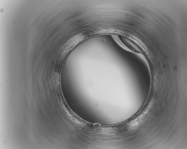 X0000060740849200511171055