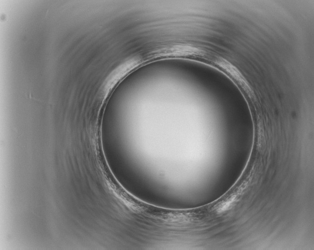 X0000060740850200511171055