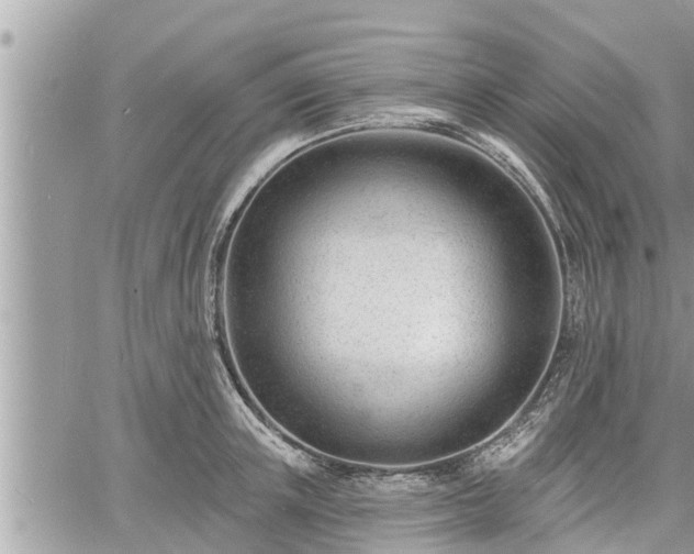 X0000060740851200511171055