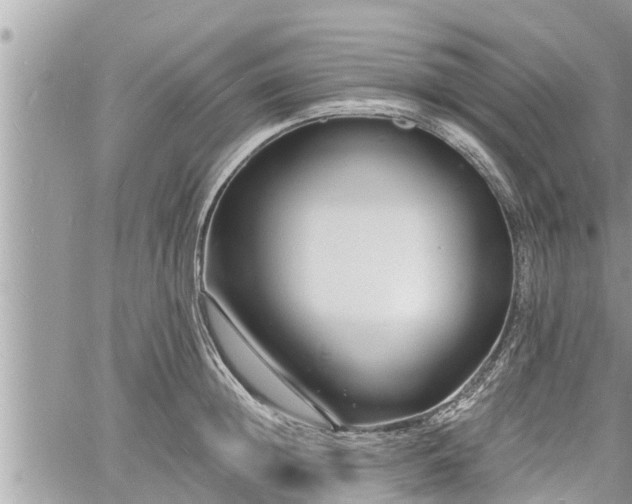 X0000060740852200511171055