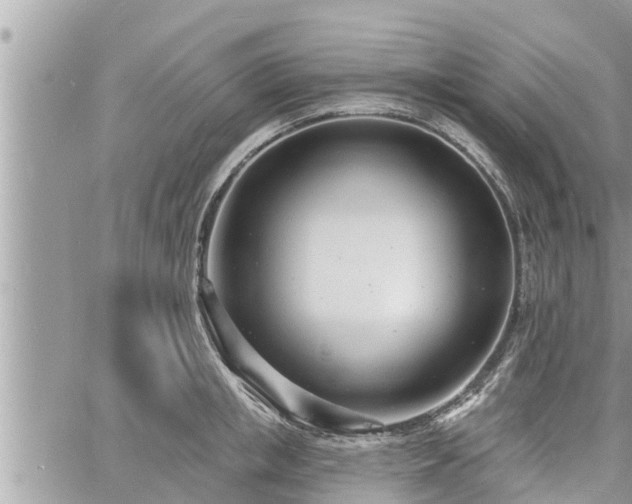 X0000060740853200511171055