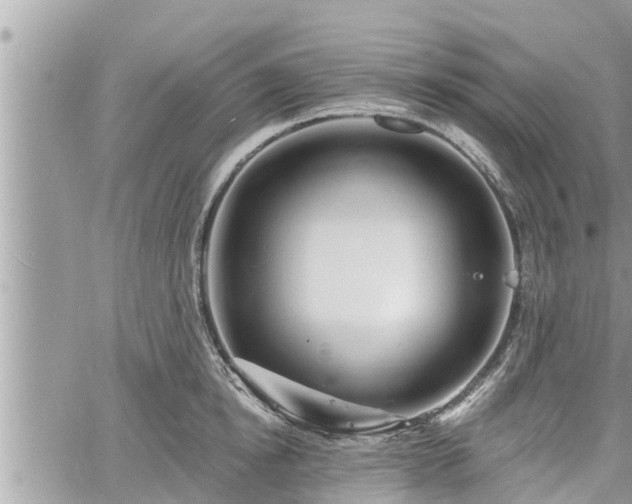 X0000060740854200511171055