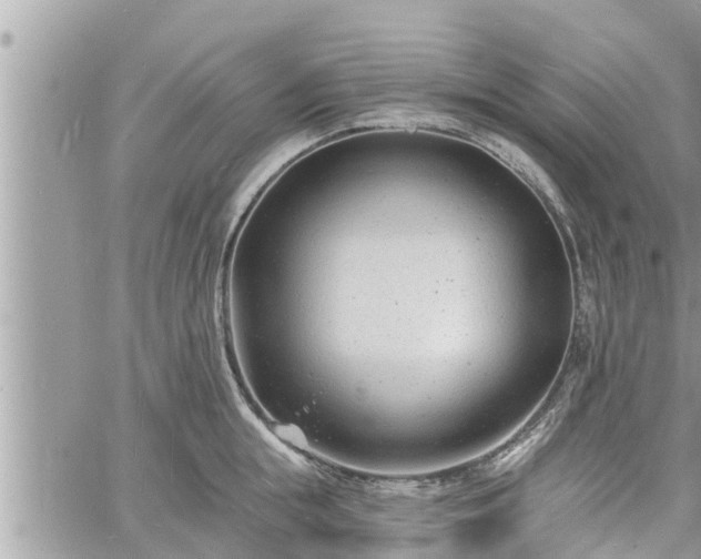 X0000060740855200511171055