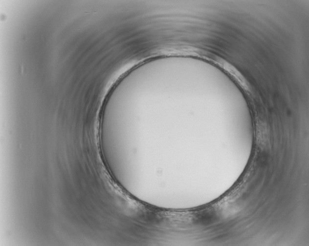 X0000060740856200511171055