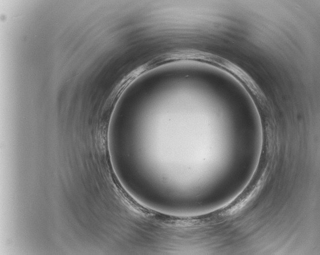 X0000060740857200511171055