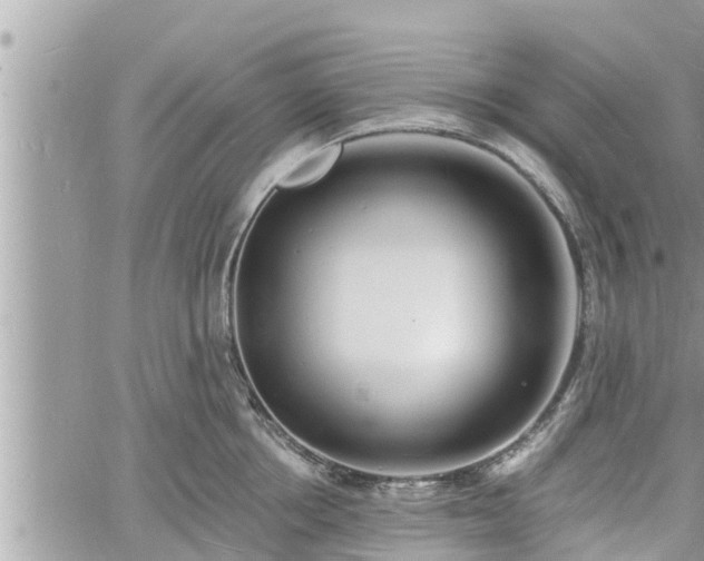 X0000060740858200511171055