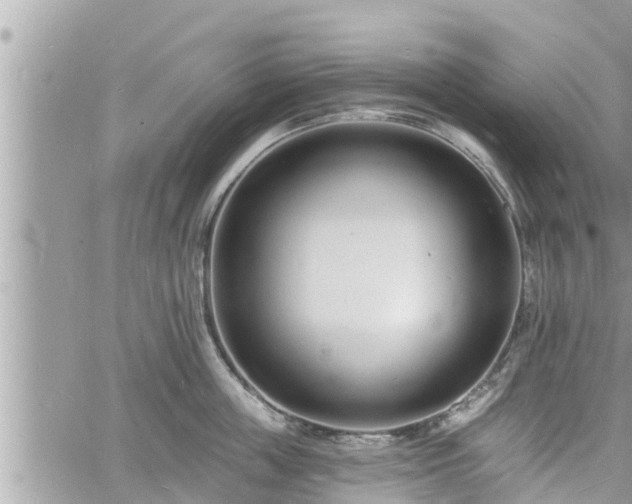 X0000060740859200511171055