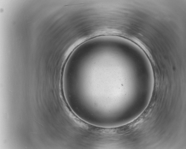 X0000060740861200511171055