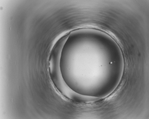 X0000060740862200511171055