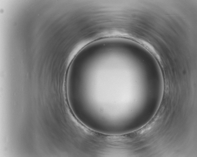 X0000060740863200511171055