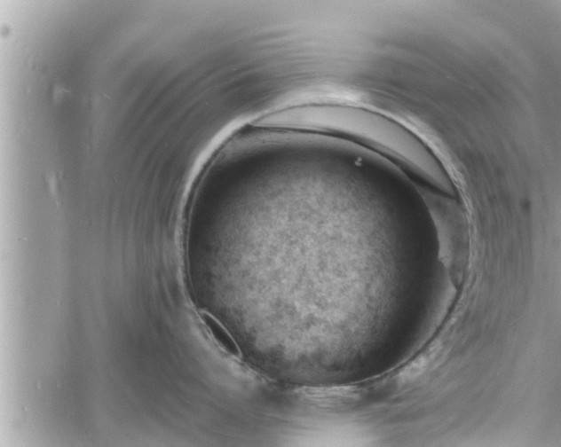 X0000060740864200511171055