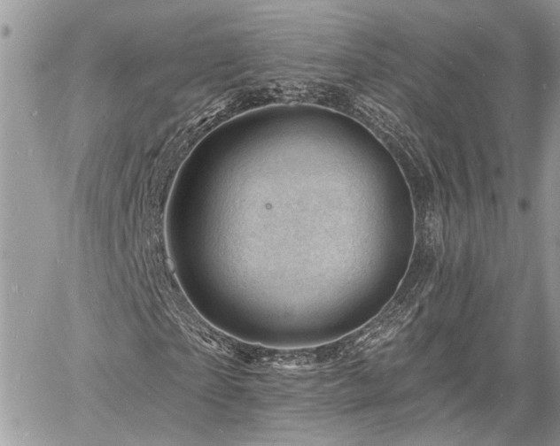 X0000060740865200511171055