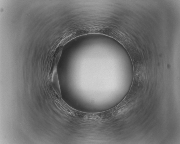 X0000060740866200511171055