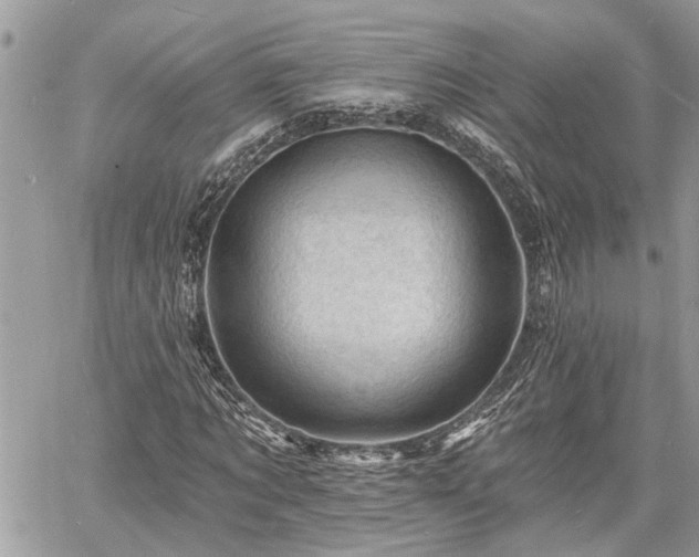 X0000060740869200511171054