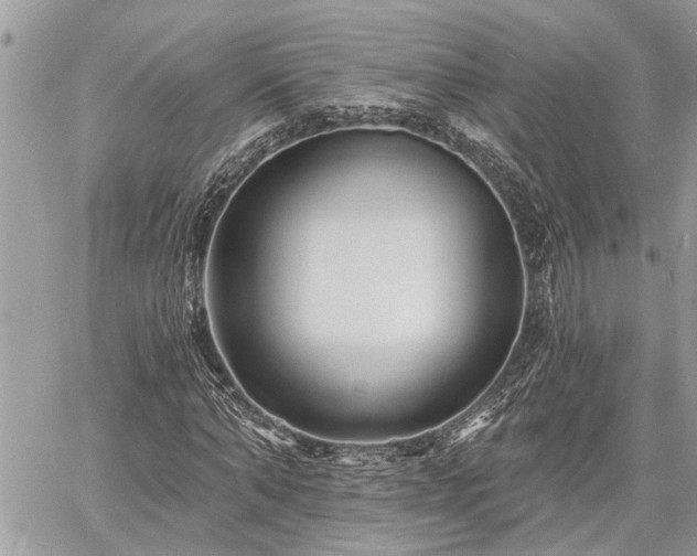 X0000060740870200511171054